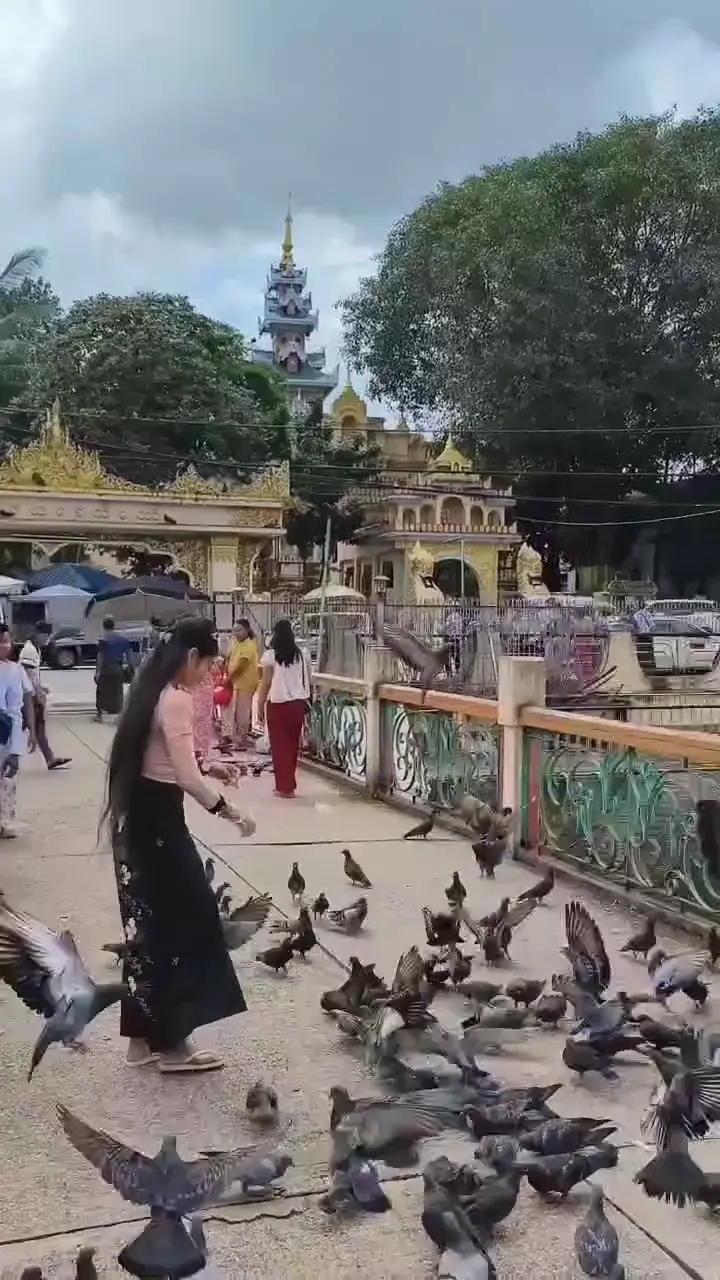 People and birds inhabiting an ordinary sacred public place